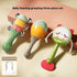 Baby Rattle Toy Gift Set